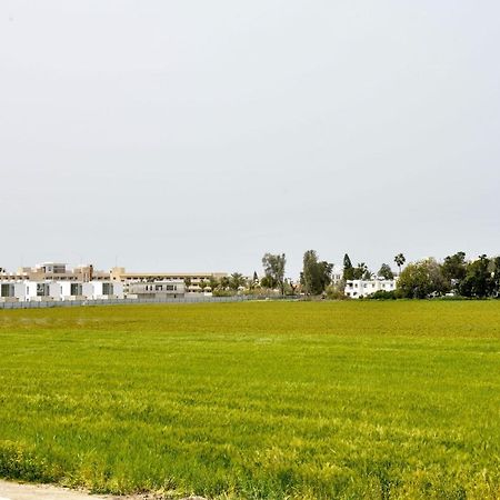 بافوس The Room, Suite 14, Leda Gardens المظهر الخارجي الصورة